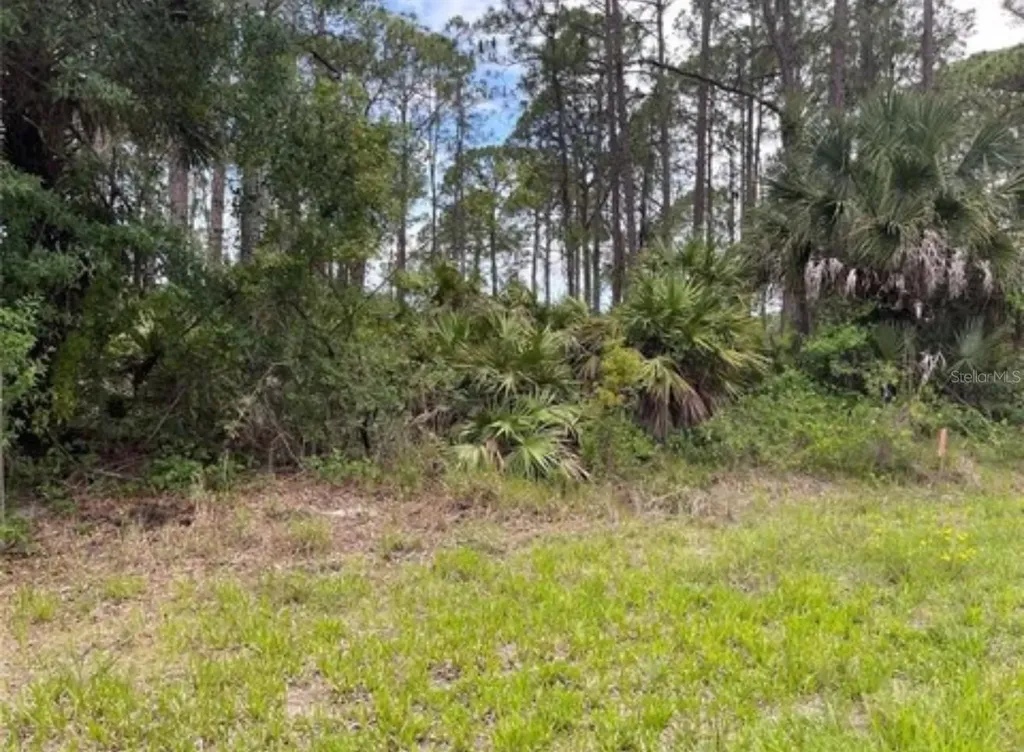 3015 Eisenhower Street W Inverness FL 34453