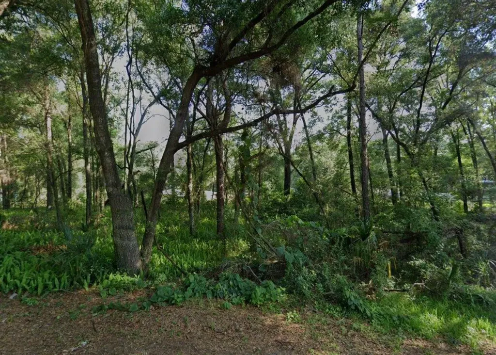 3015 Eisenhower Street W Inverness FL 34453