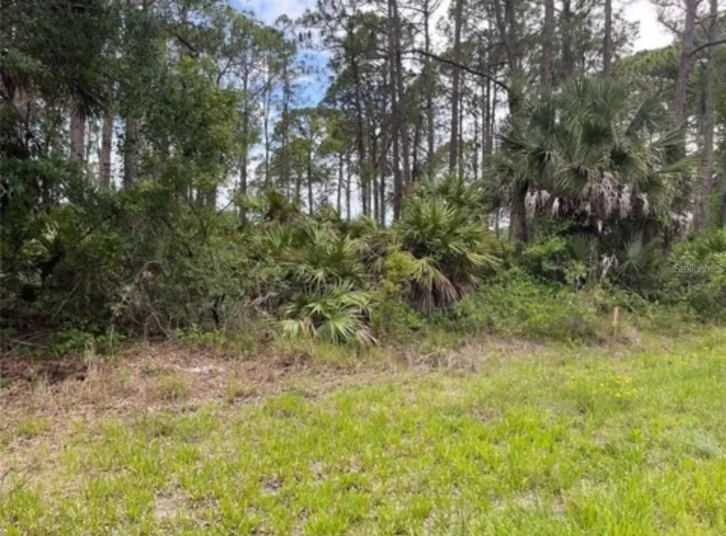 3015 Eisenhower Street W Inverness FL 34453