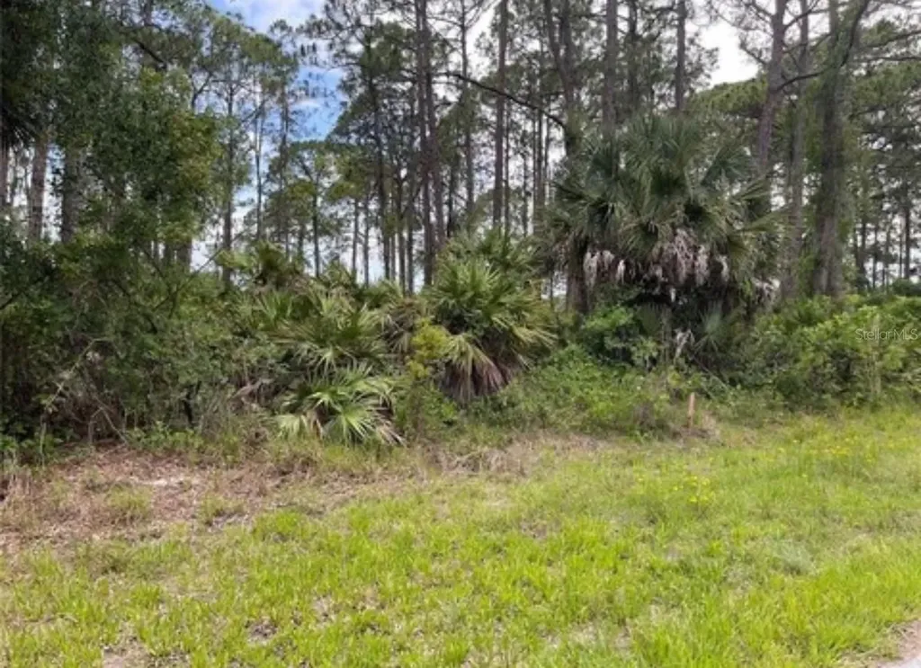 3015 Eisenhower Street W Inverness FL 34453