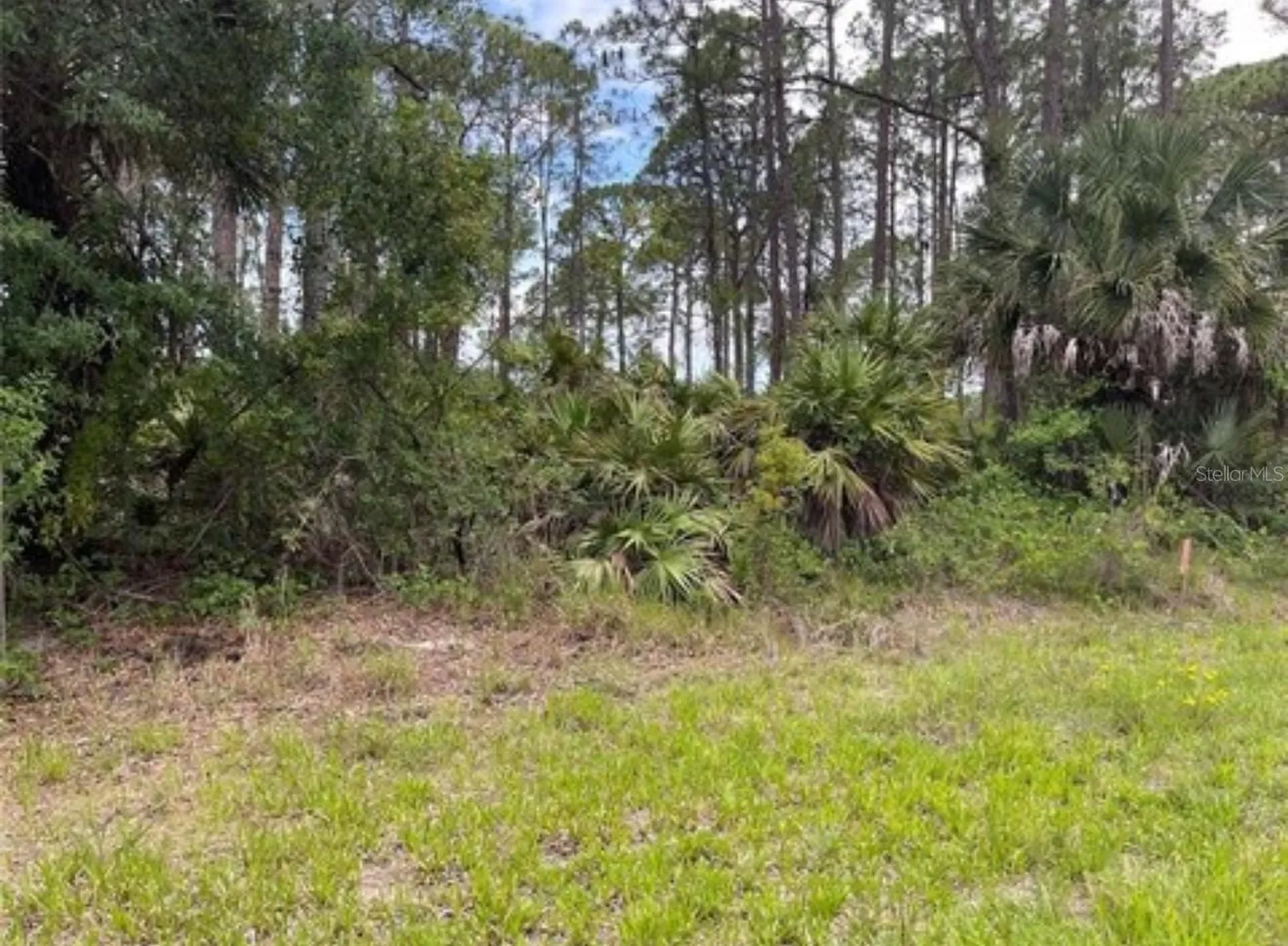 3015 Eisenhower Street W Inverness FL 34453