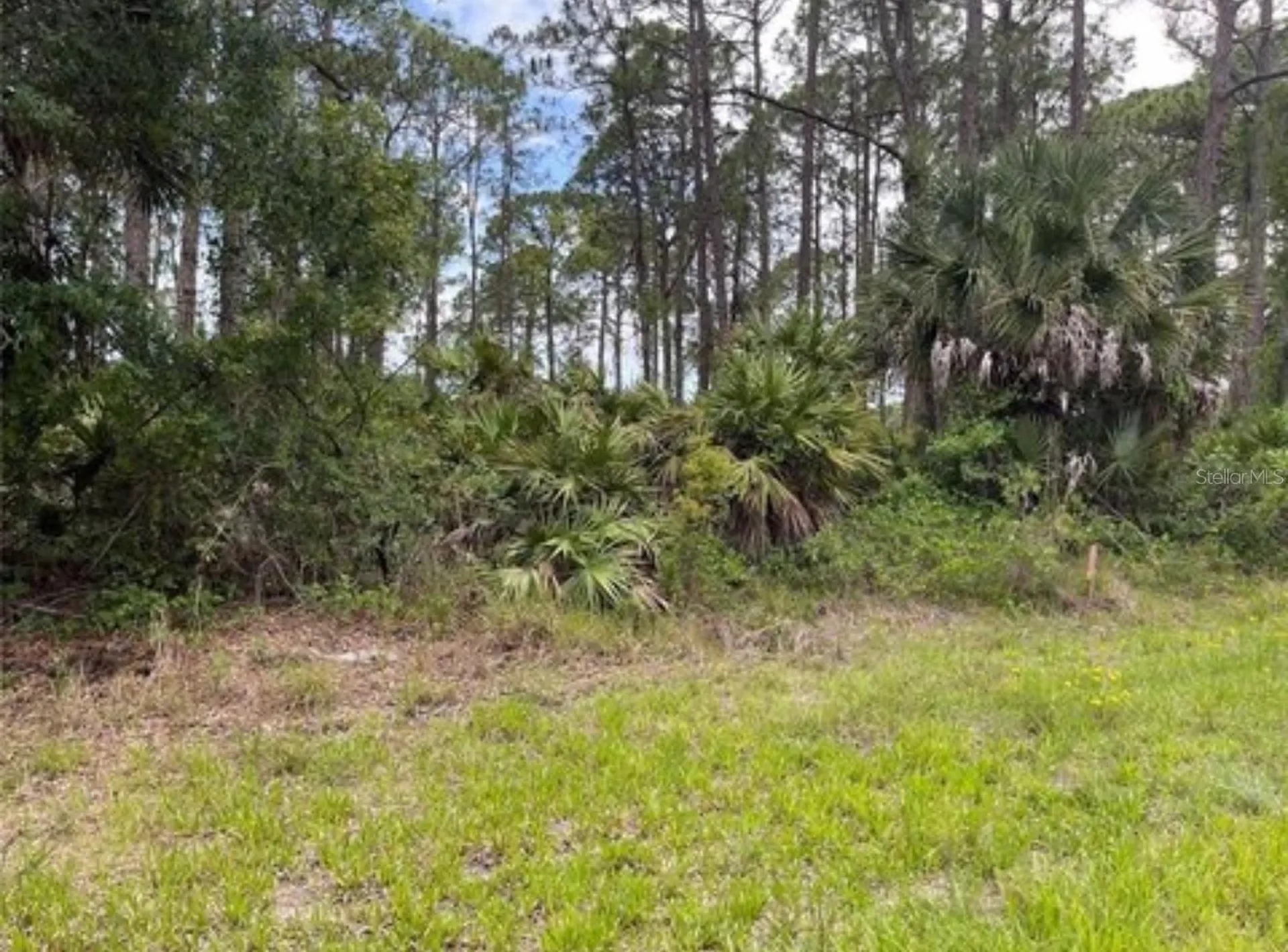 3015 Eisenhower Street W Inverness FL 34453