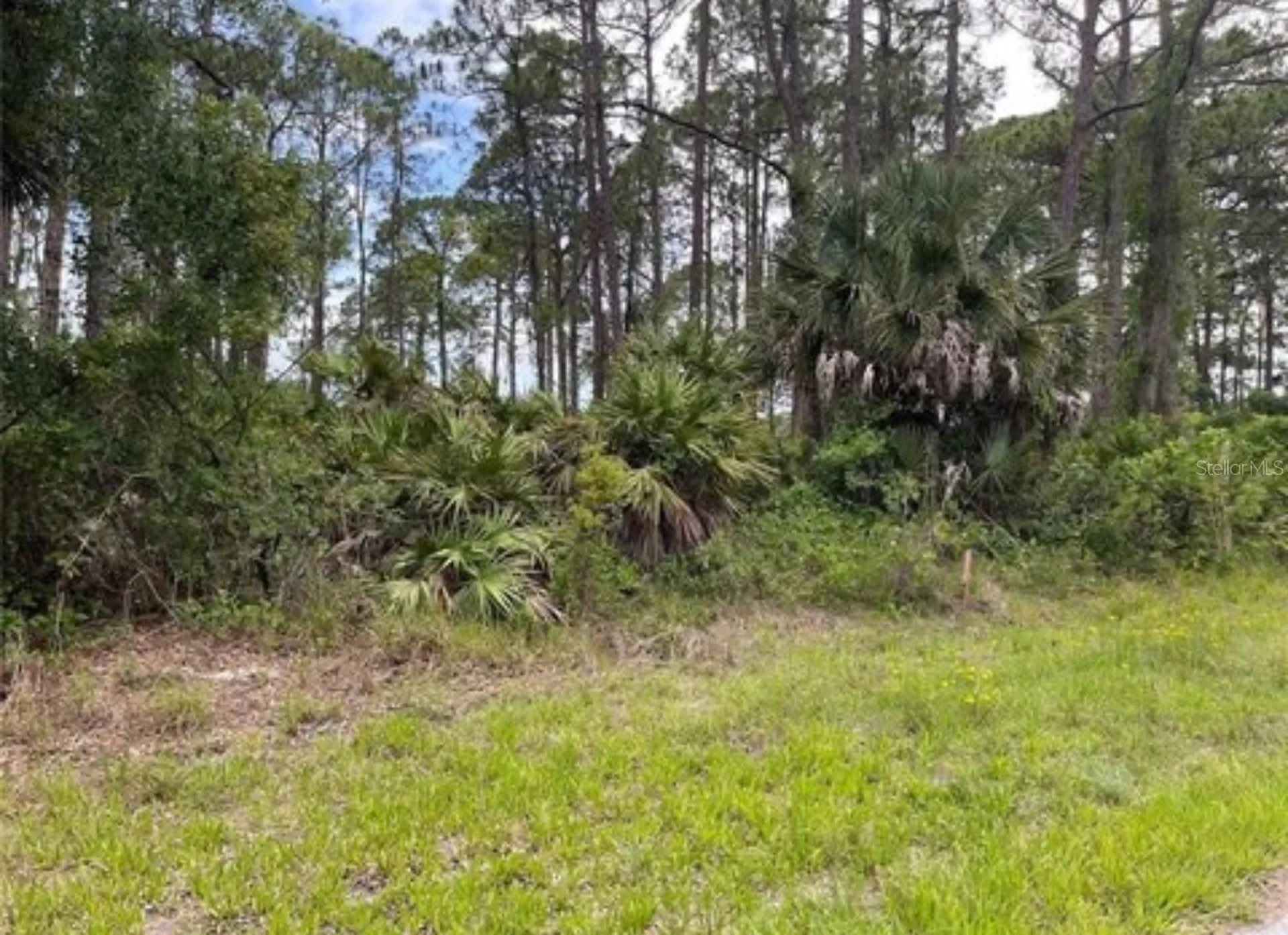 3015 Eisenhower Street W Inverness FL 34453