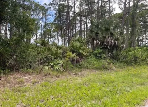 3015 Eisenhower Street W Inverness FL 34453