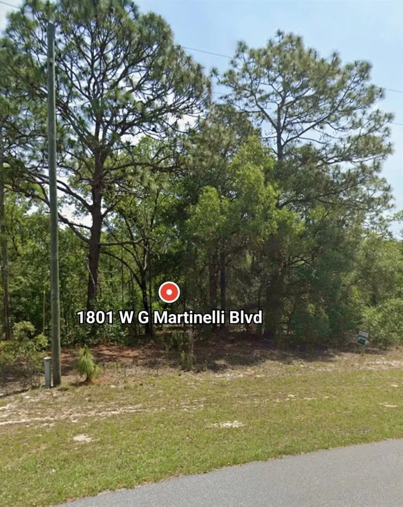 1801 W G Martinelli Boulevard Citrus Springs FL 34434