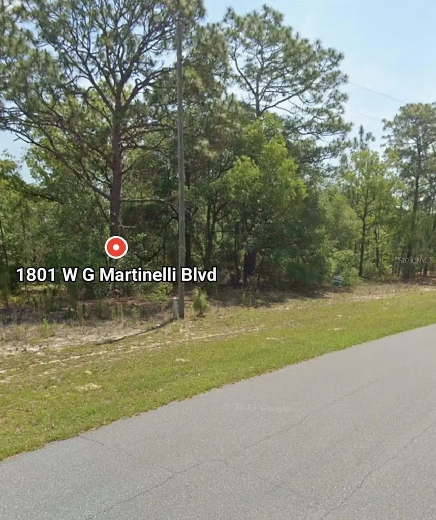 1801 W G Martinelli Boulevard Citrus Springs FL 34434