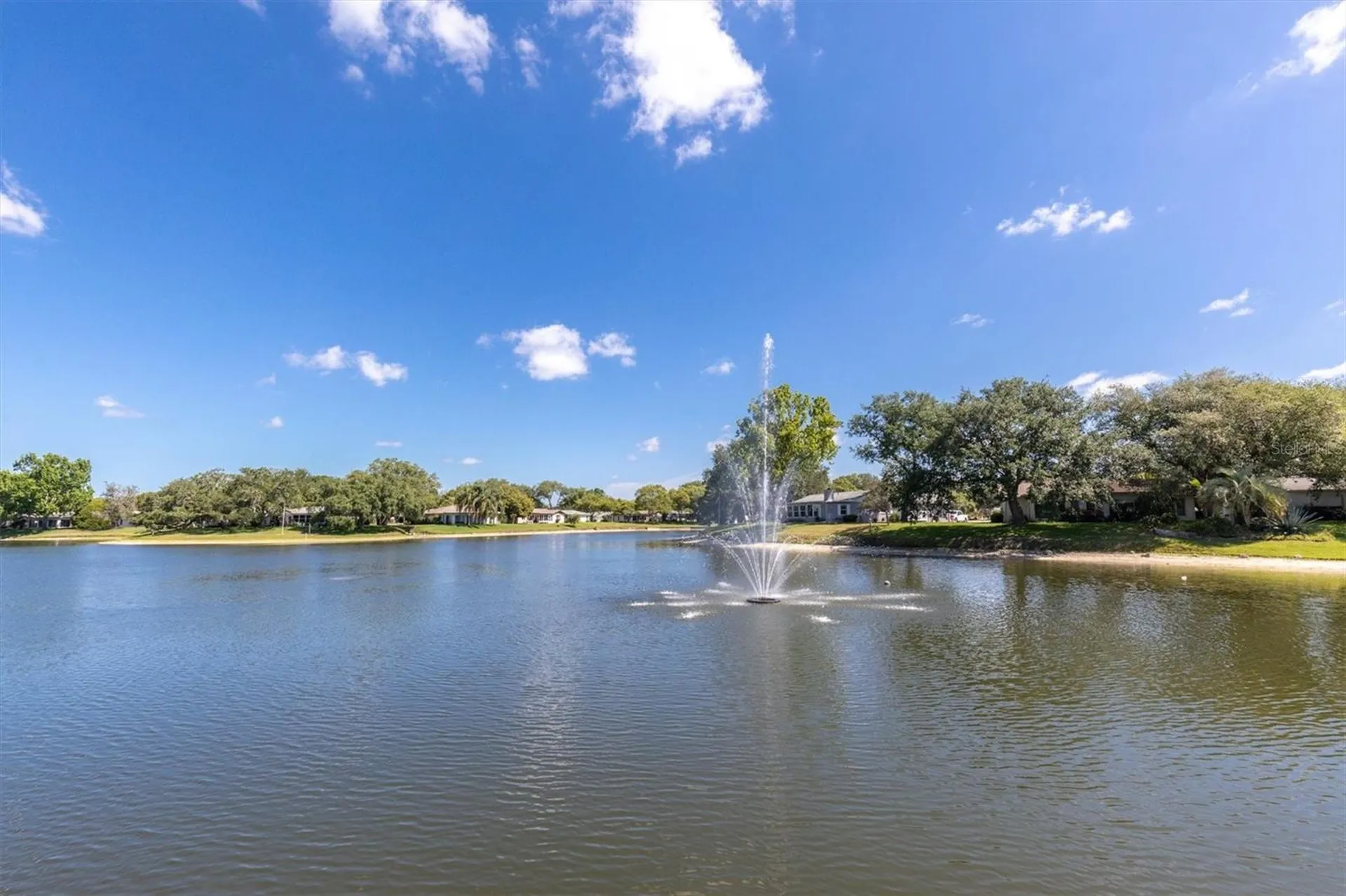 11311 Dollar Lake Drive Port Richey FL 34668
