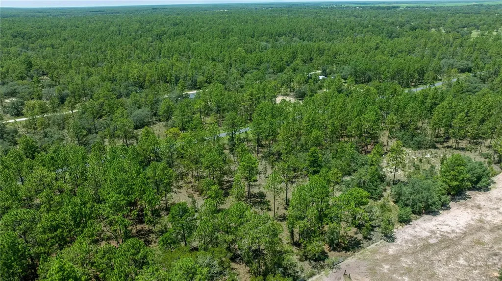 LOT14 SE 136 Th Terrace Dunnellon FL 34431