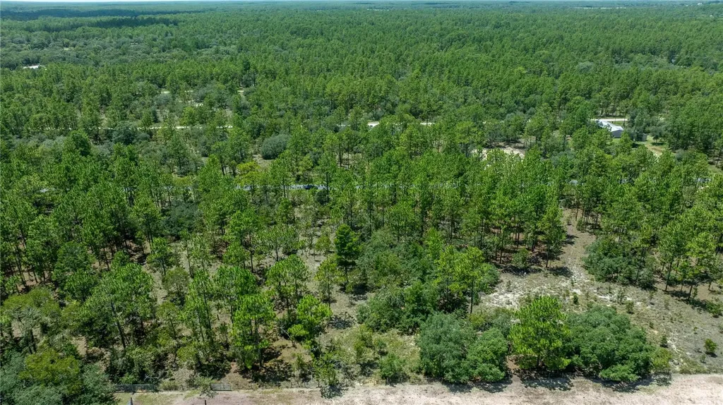 LOT14 SE 136 Th Terrace Dunnellon FL 34431