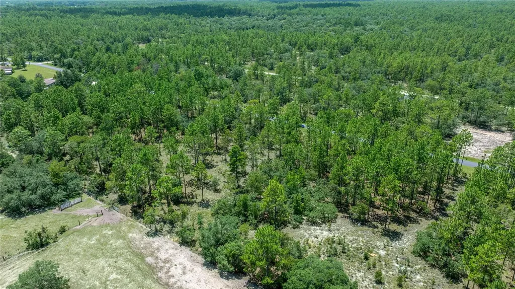 LOT14 SE 136 Th Terrace Dunnellon FL 34431
