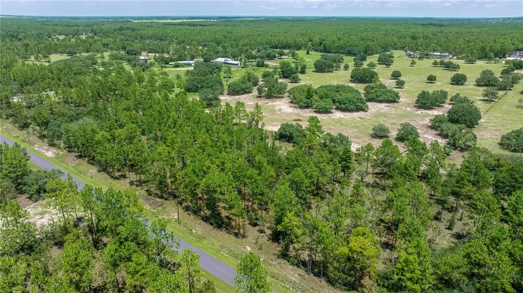 LOT14 SE 136 Th Terrace Dunnellon FL 34431