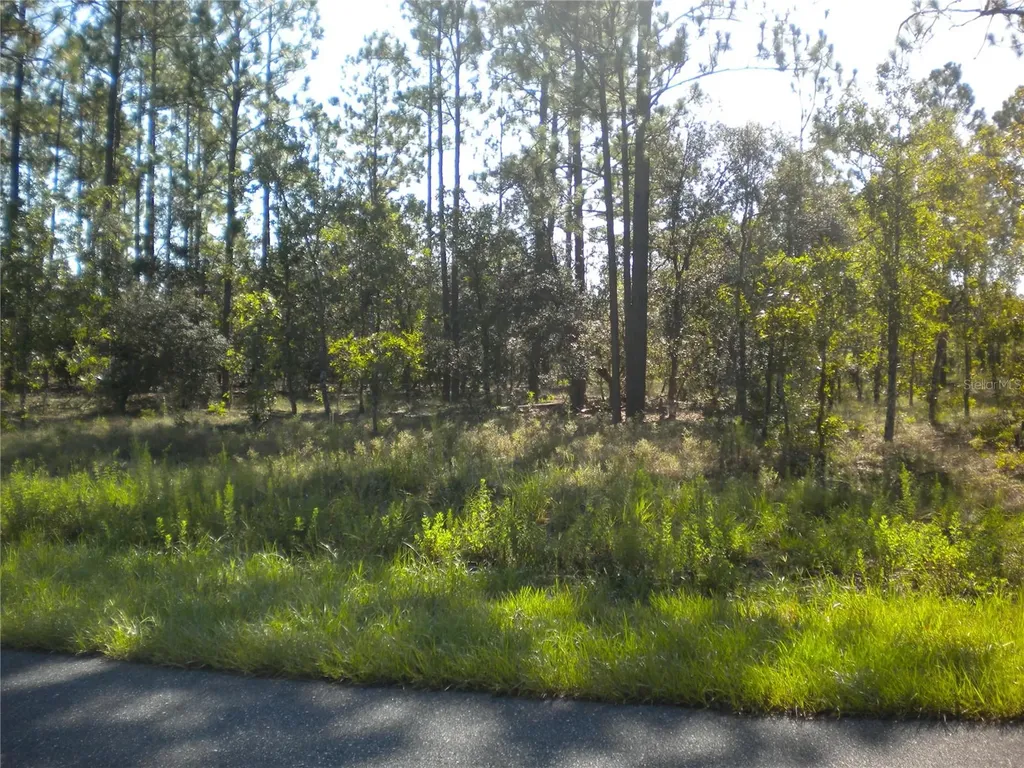 LOT14 SE 136 Th Terrace Dunnellon FL 34431