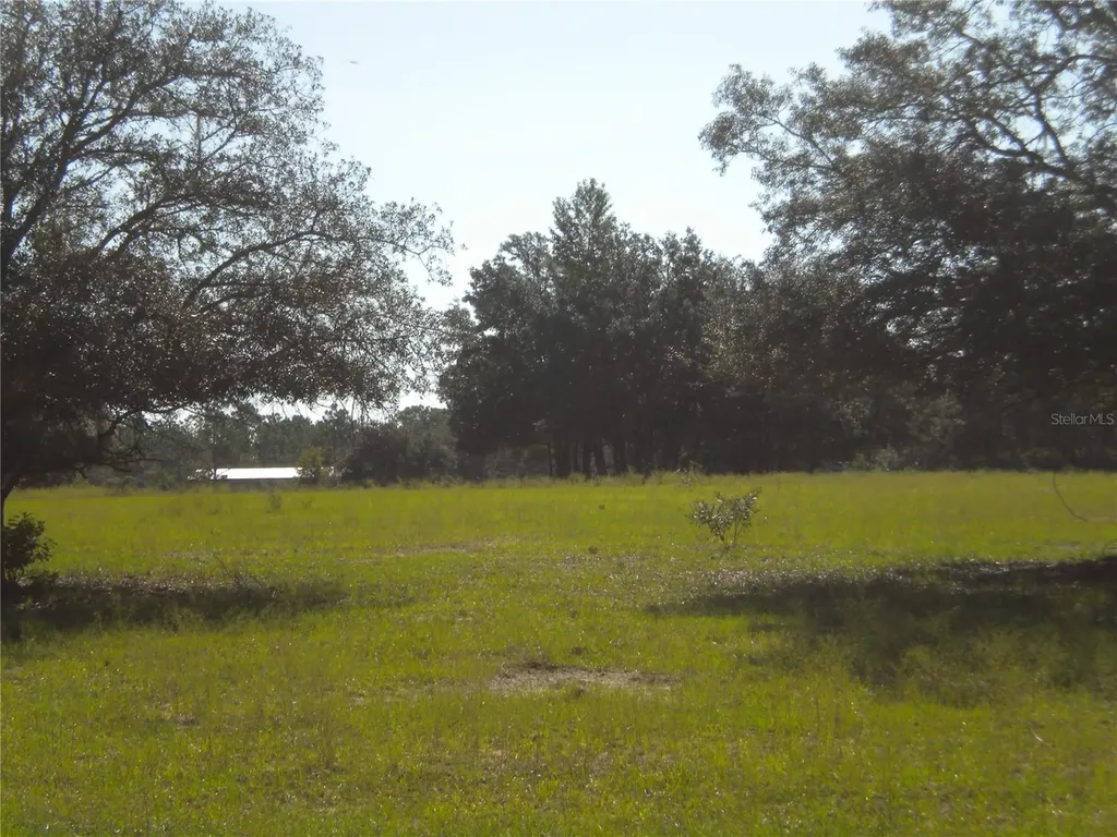 LOT14 SE 136 Th Terrace Dunnellon FL 34431