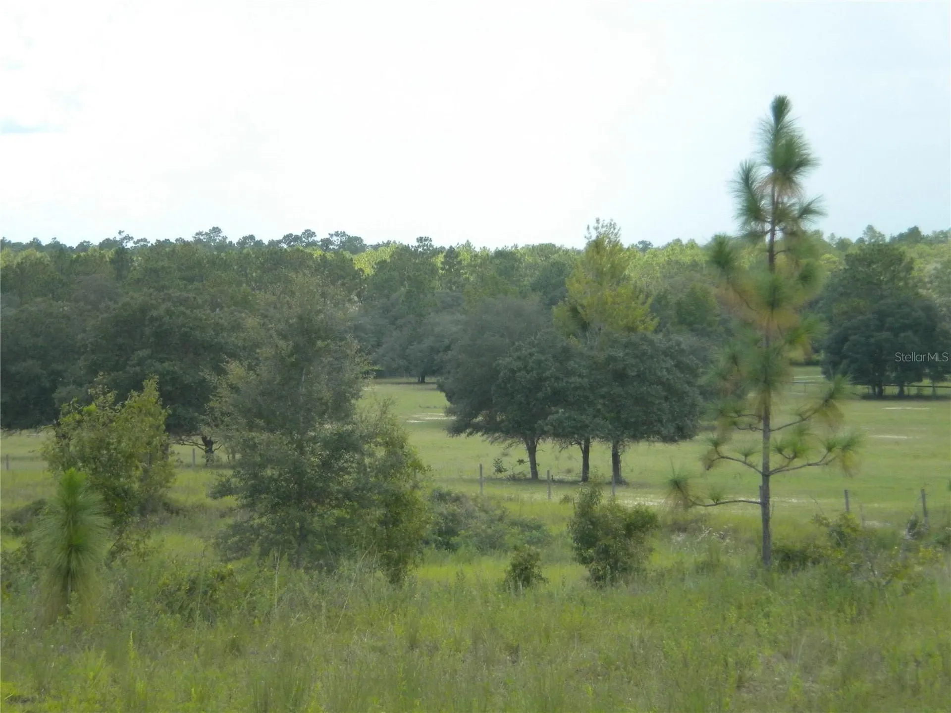 LOT14 SE 136 Th Terrace Dunnellon FL 34431