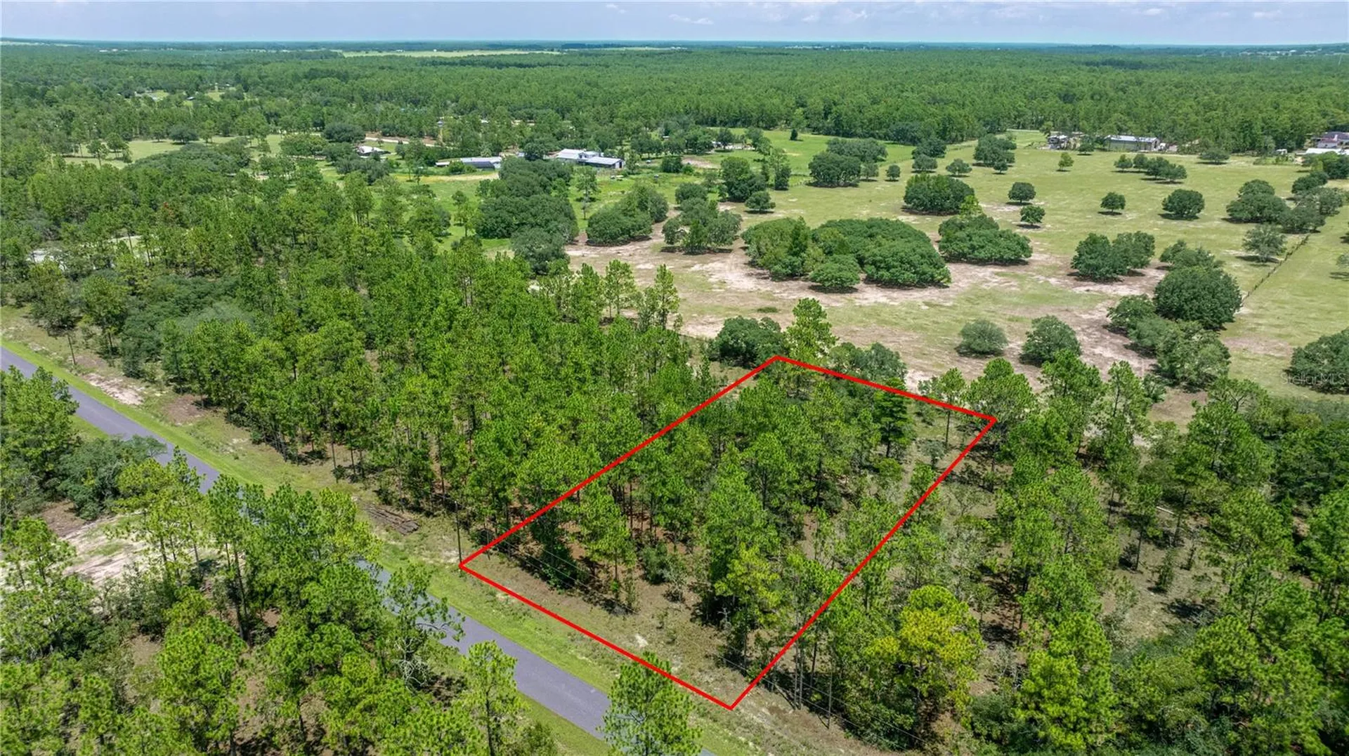 LOT14 SE 136 Th Terrace Dunnellon FL 34431