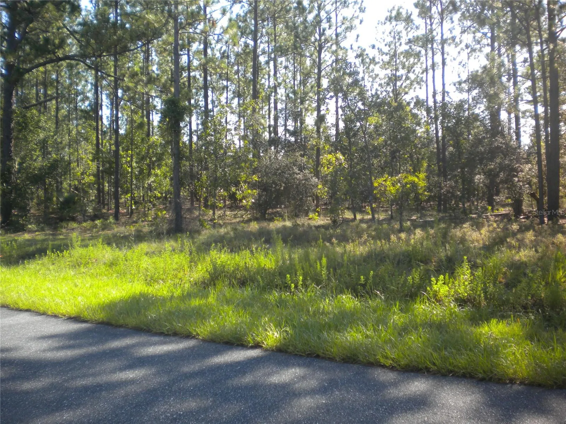 LOT14 SE 136 Th Terrace Dunnellon FL 34431