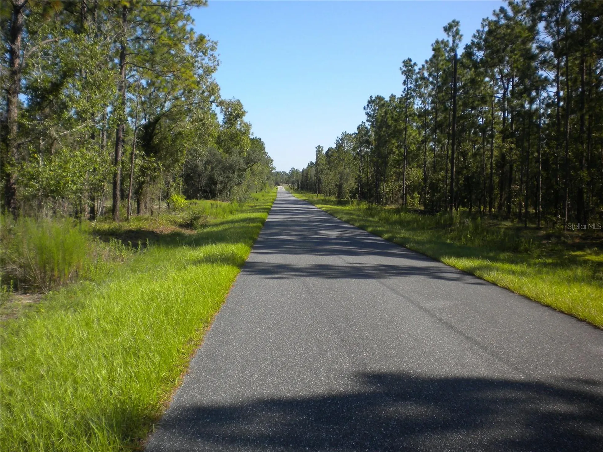 LOT14 SE 136 Th Terrace Dunnellon FL 34431