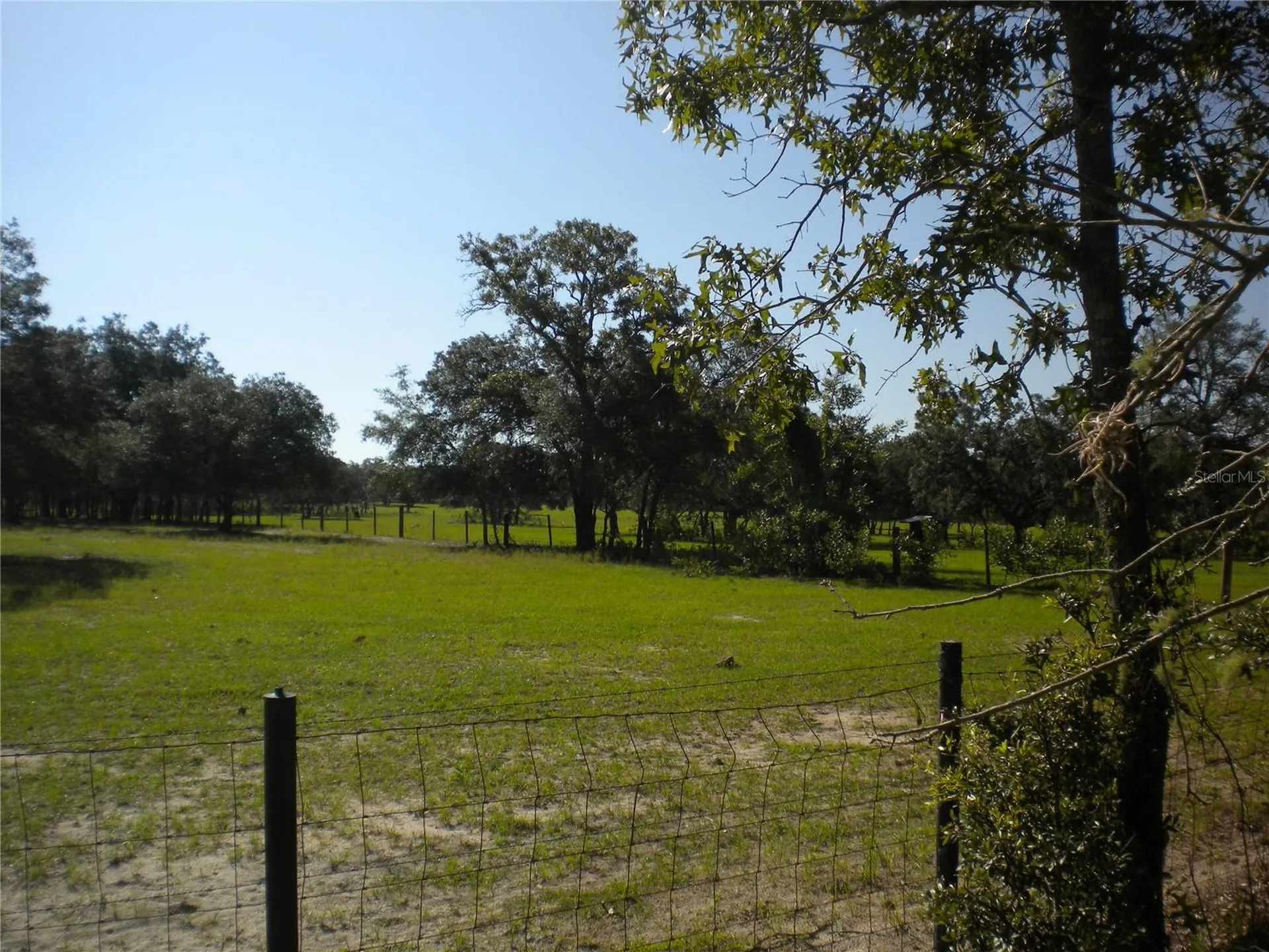 LOT14 SE 136 Th Terrace Dunnellon FL 34431