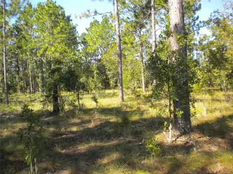 LOT14 SE 136 Th Terrace Dunnellon FL 34431