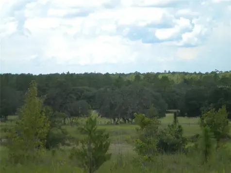 LOT14 SE 136 Th Terrace Dunnellon FL 34431