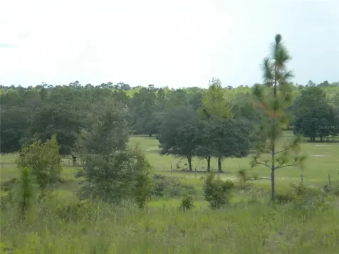 LOT14 SE 136 Th Terrace Dunnellon FL 34431