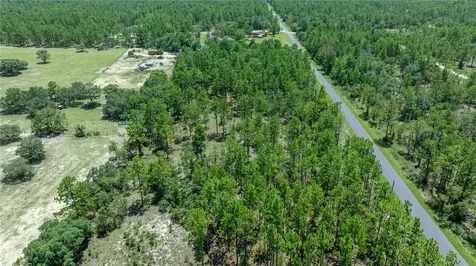 LOT14 SE 136 Th Terrace Dunnellon FL 34431