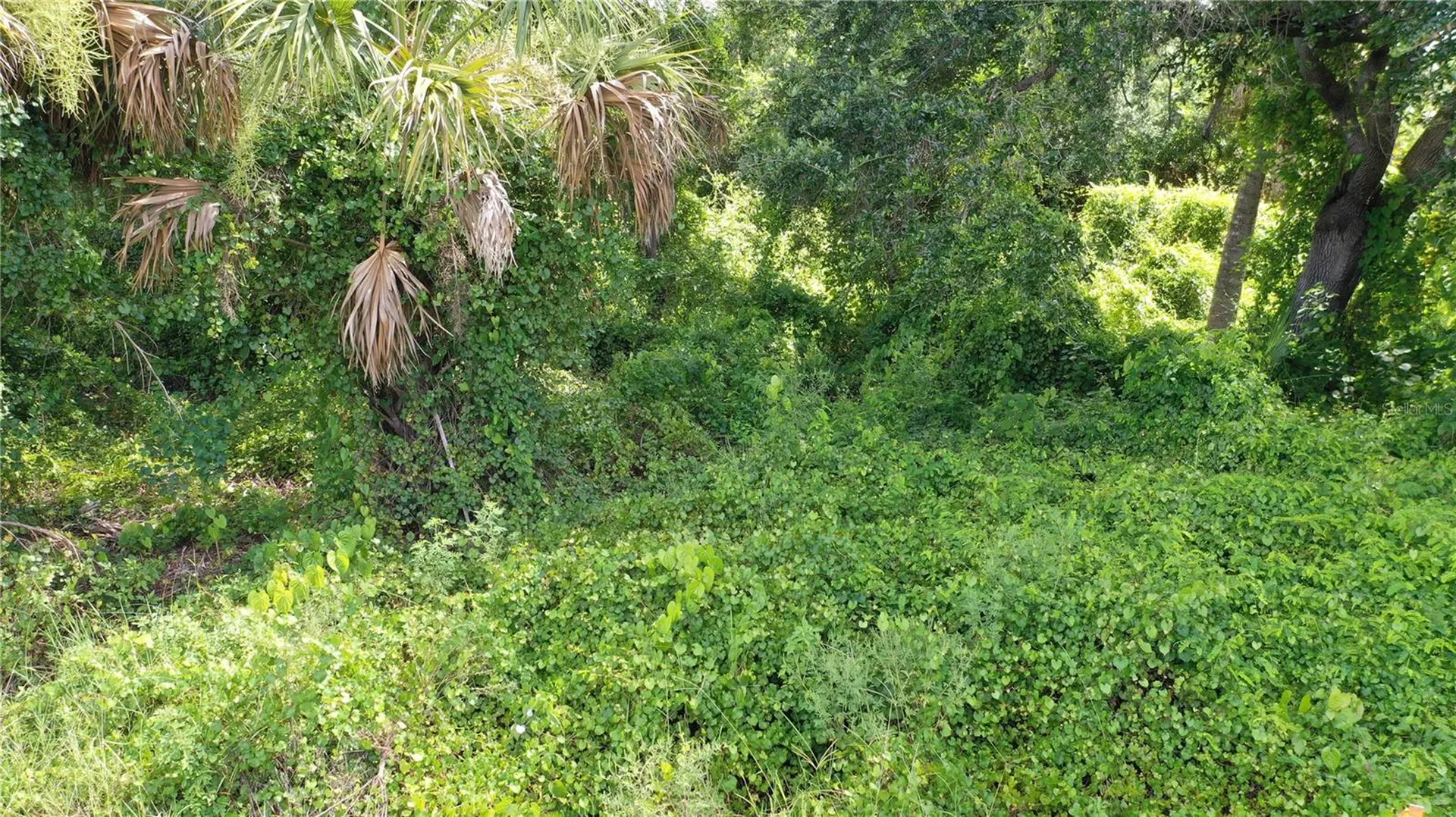 284 Hinton Street Port Charlotte FL 33954