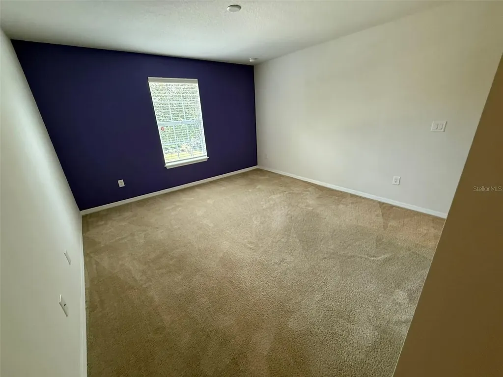 2821 Cypress Bowl Road Lutz FL 33558