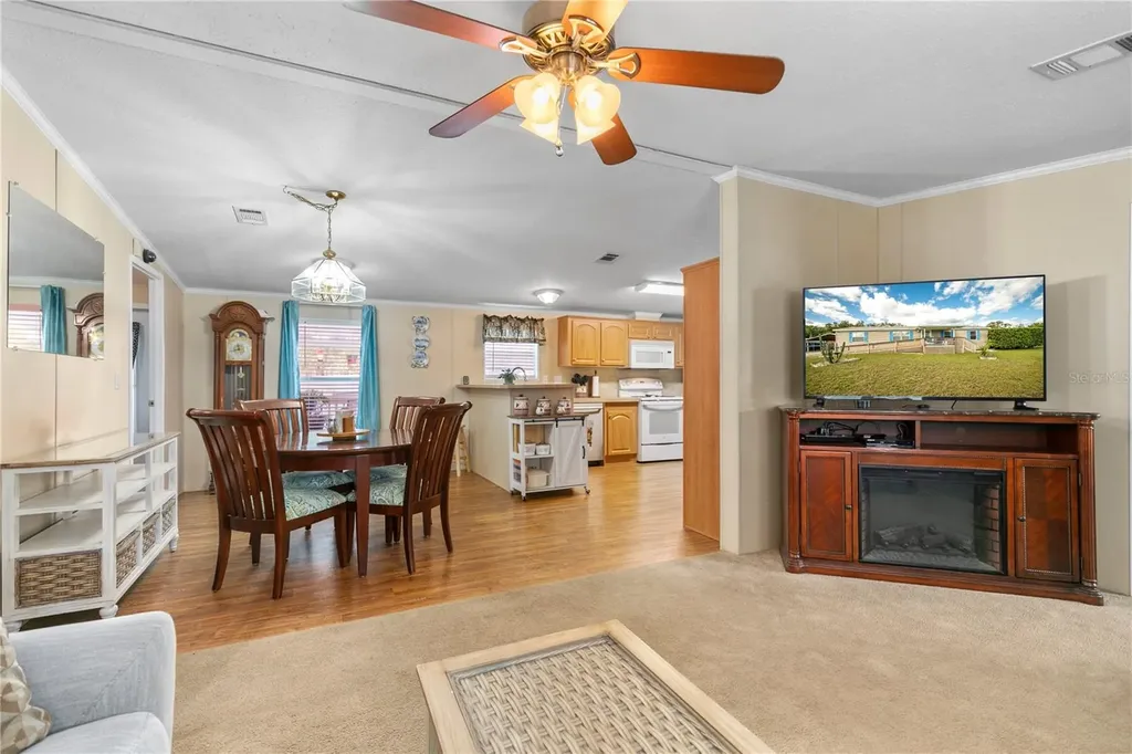 17000 SE 251st Terrace Umatilla FL 32784