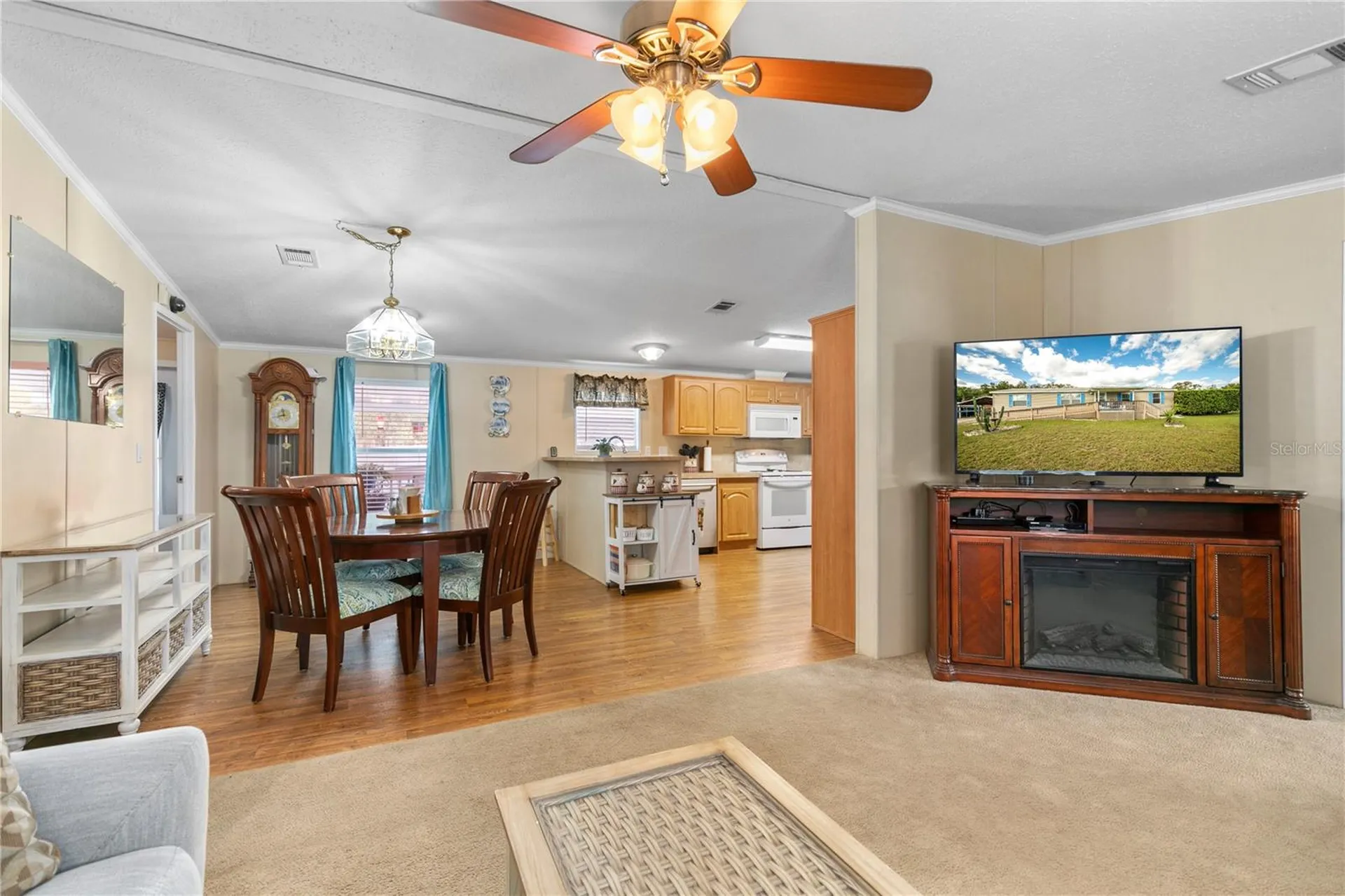 17000 SE 251st Terrace Umatilla FL 32784