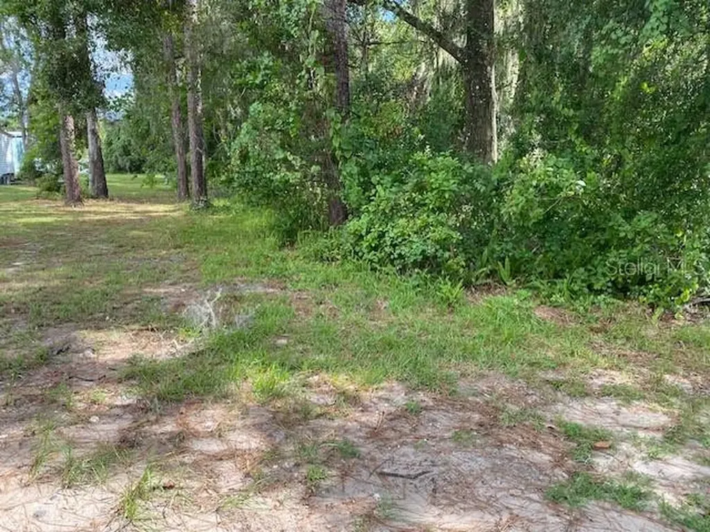 Deland FL 32724