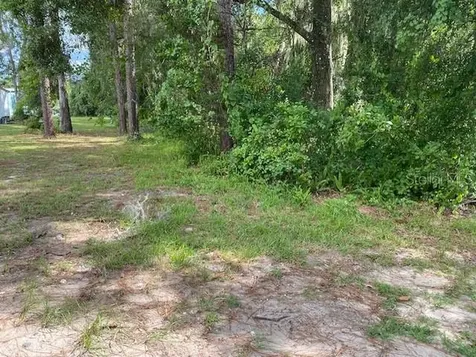 Deland FL 32724