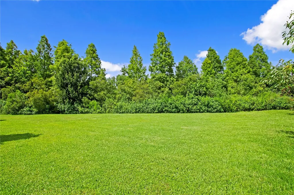 1213 Merry Water Drive Lutz FL 33548