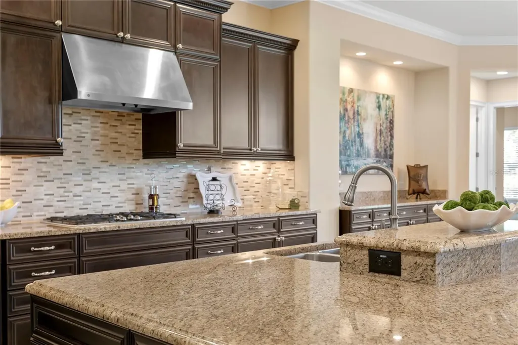 1213 Merry Water Drive Lutz FL 33548