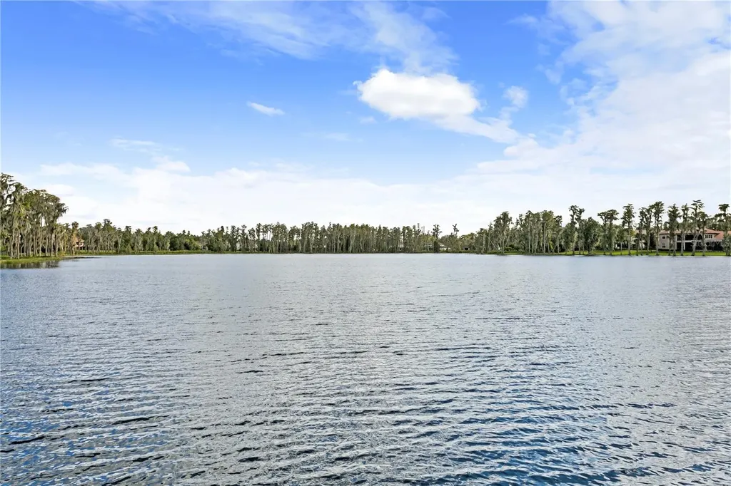 1213 Merry Water Drive Lutz FL 33548