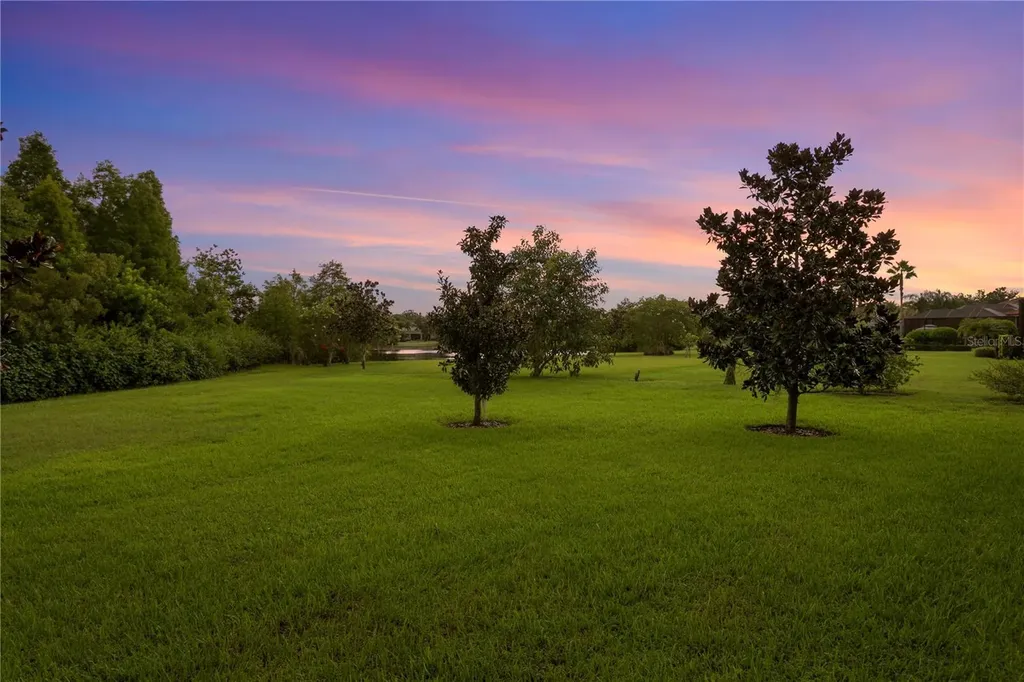 1213 Merry Water Drive Lutz FL 33548