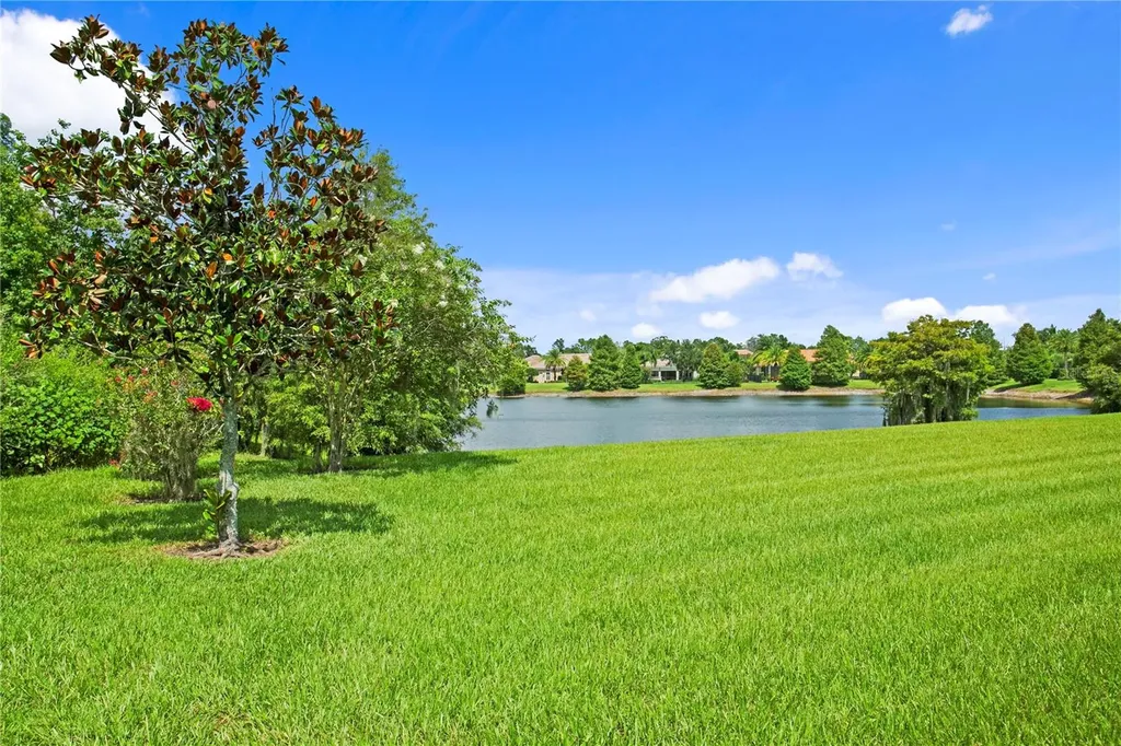 1213 Merry Water Drive Lutz FL 33548