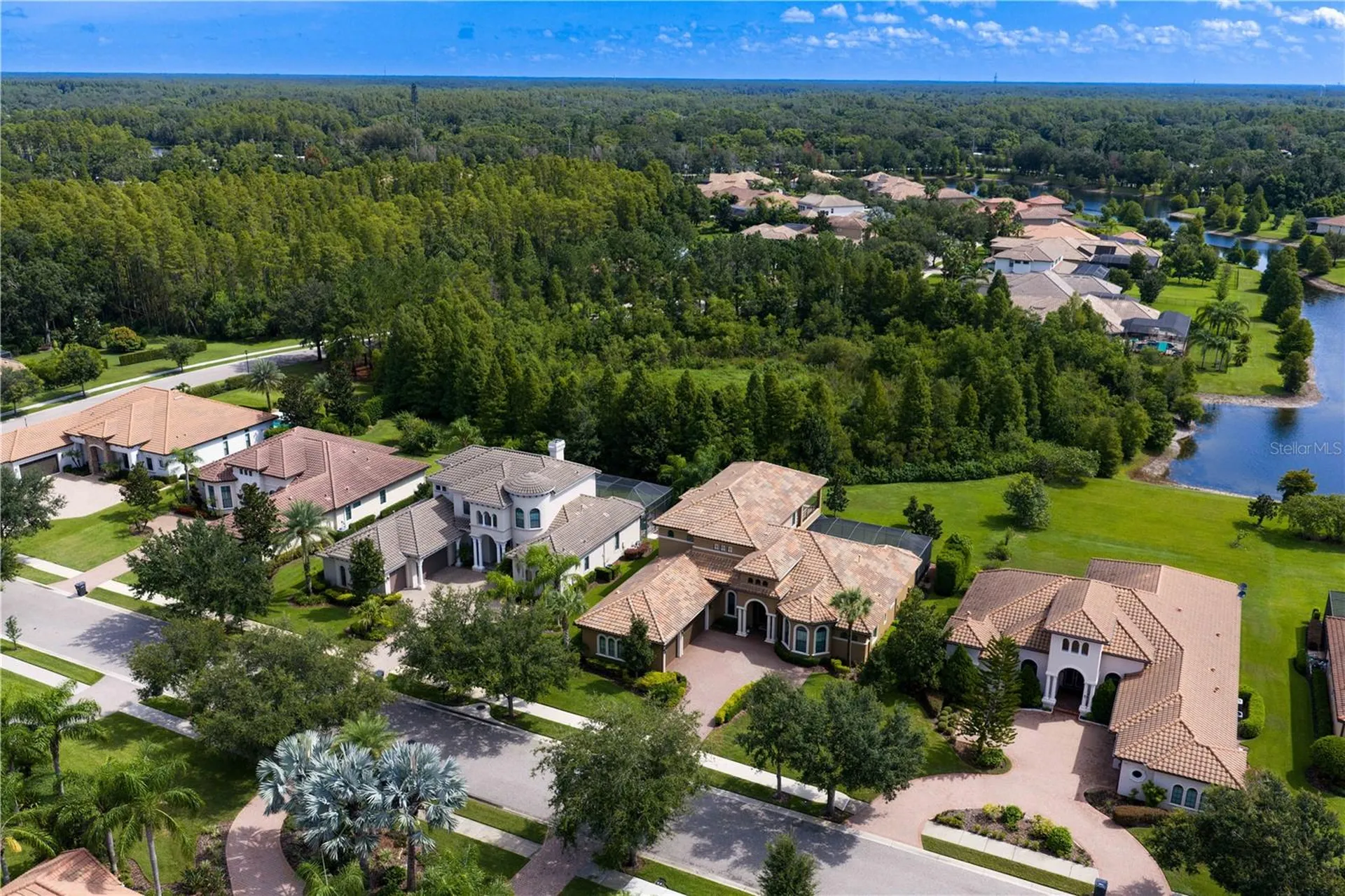 1213 Merry Water Drive Lutz FL 33548