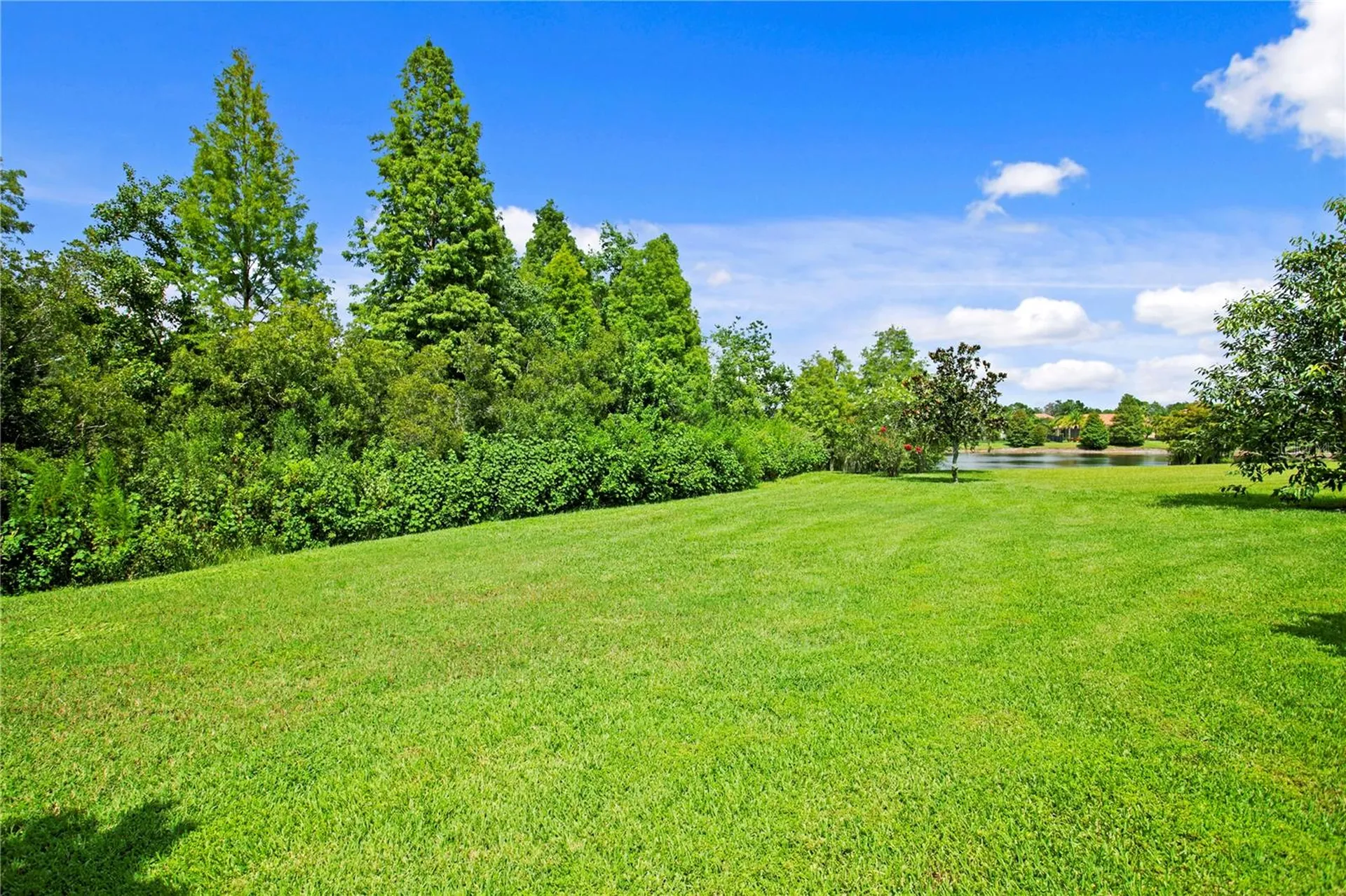 1213 Merry Water Drive Lutz FL 33548
