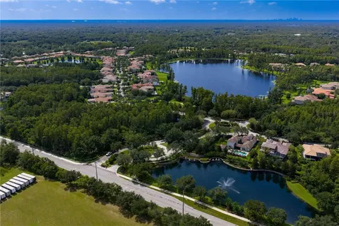 1213 Merry Water Drive Lutz FL 33548