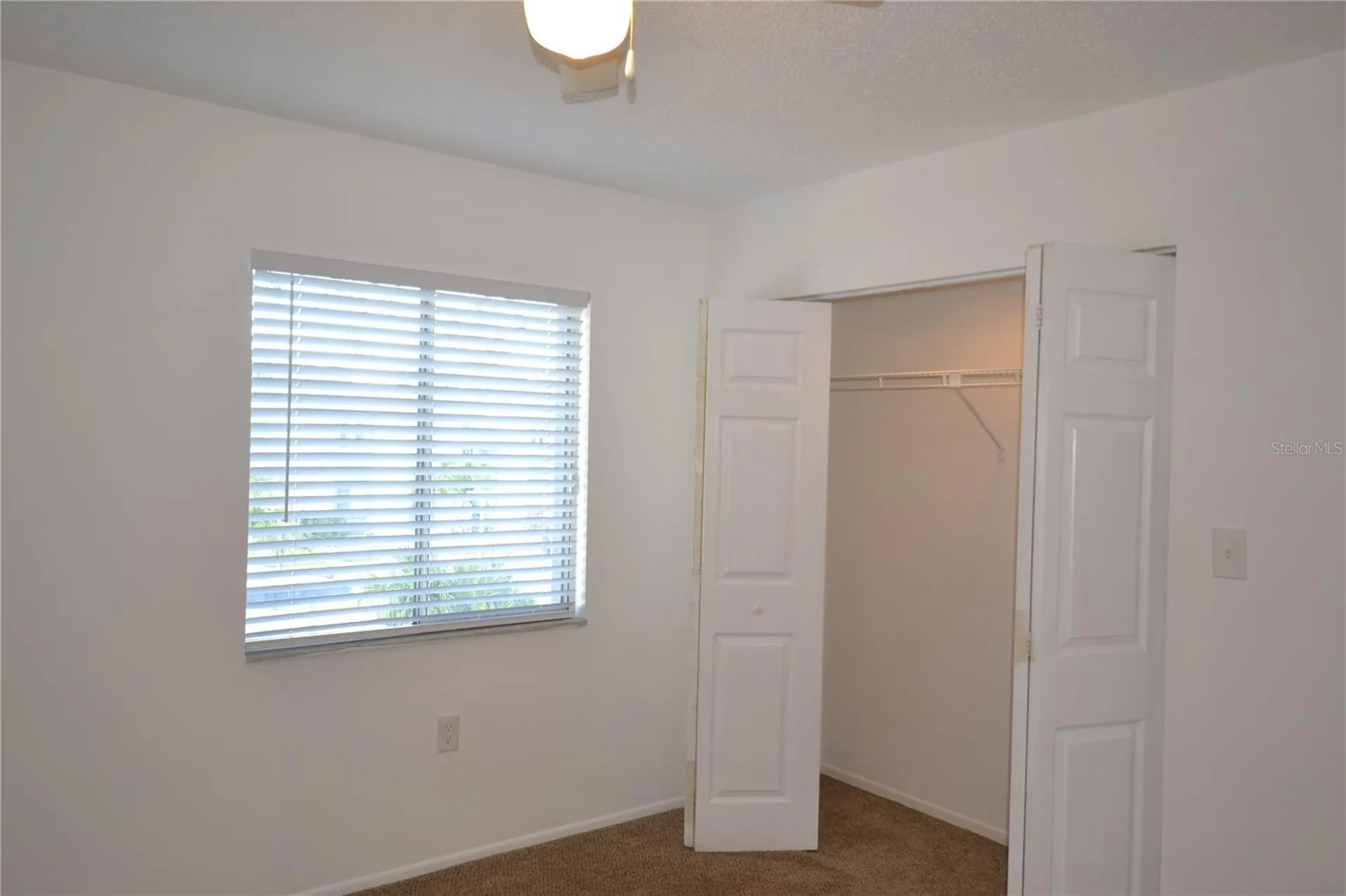 256 Cypress Lane Oldsmar FL 34677
