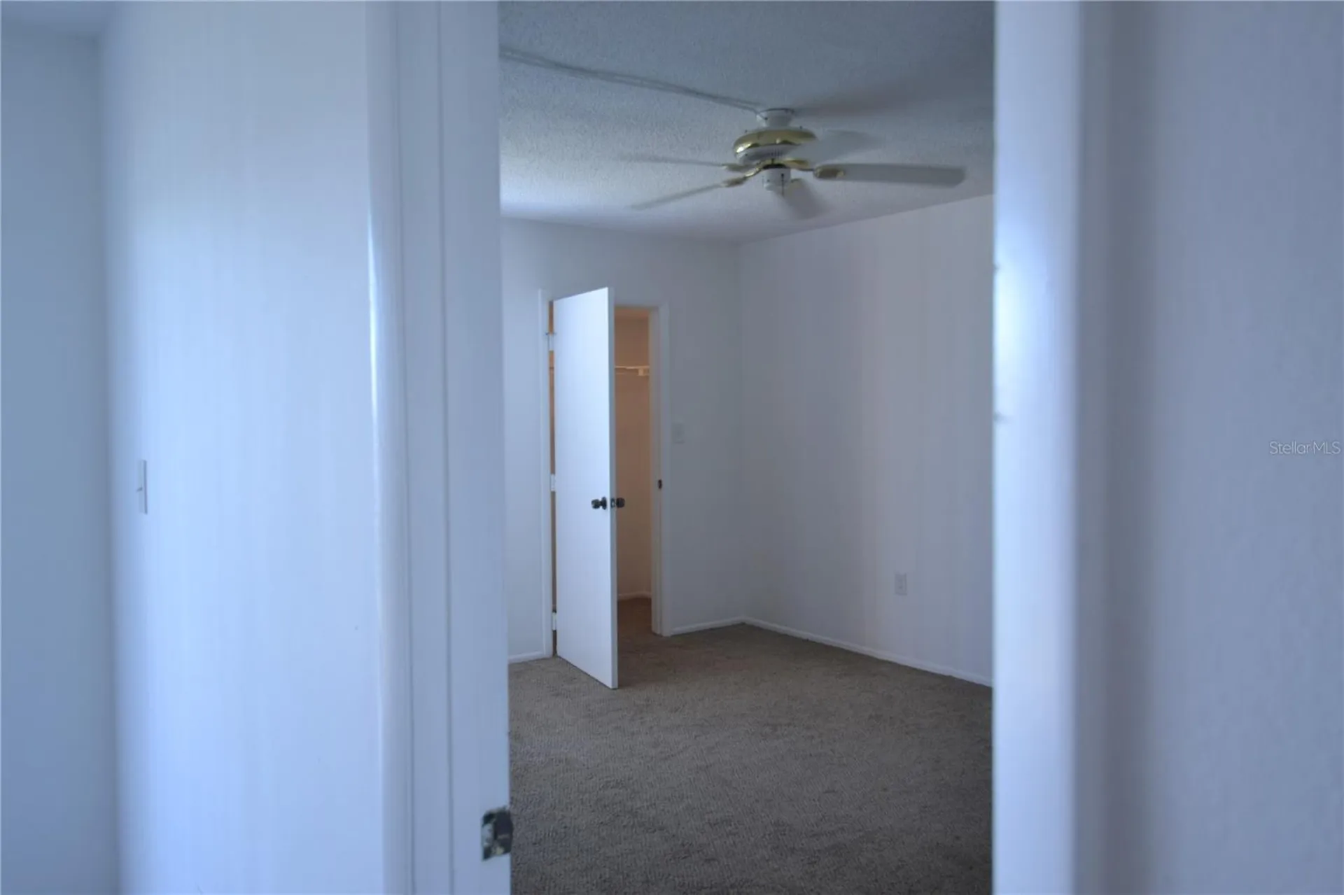 256 Cypress Lane Oldsmar FL 34677