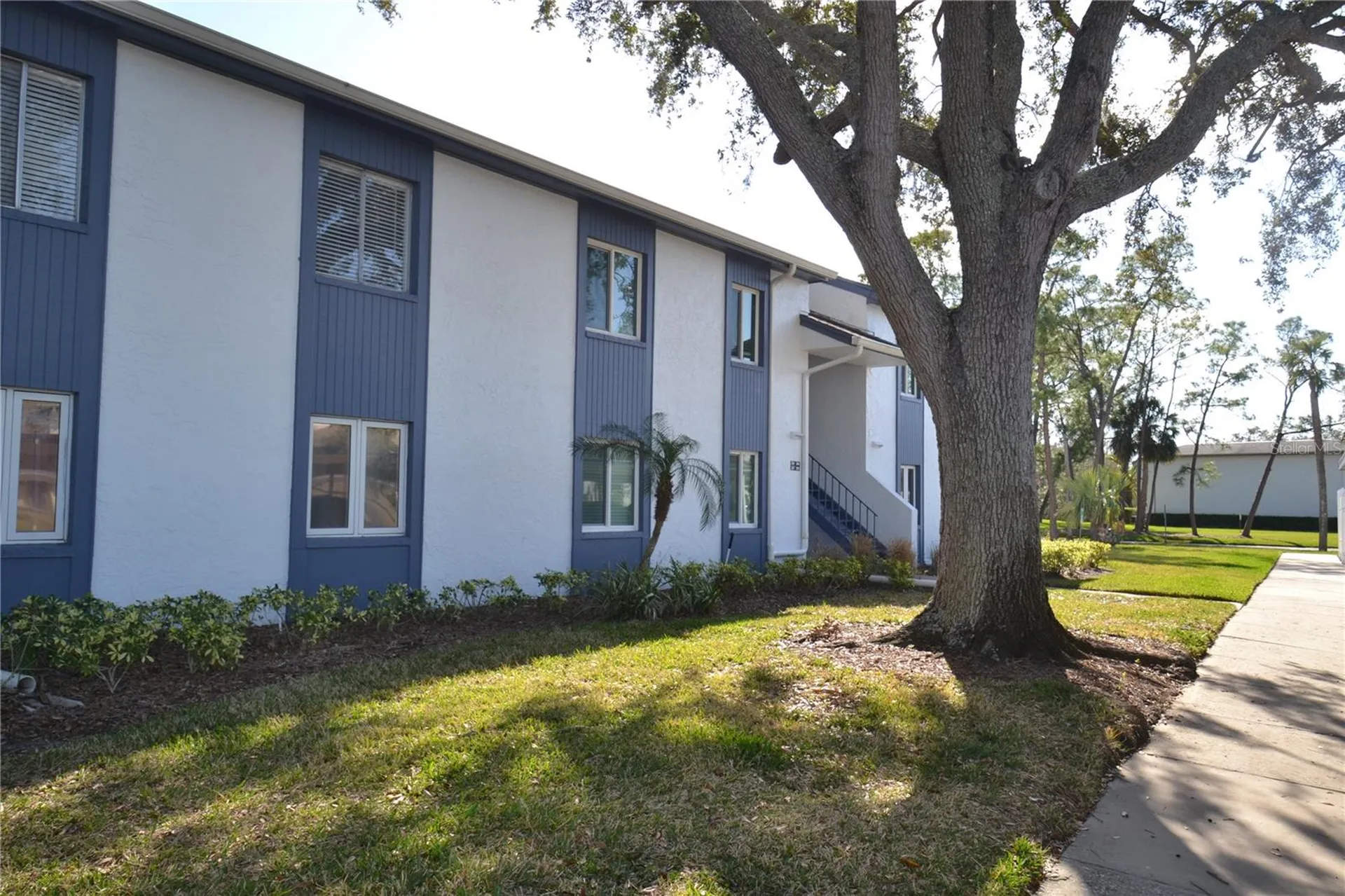 256 Cypress Lane Oldsmar FL 34677