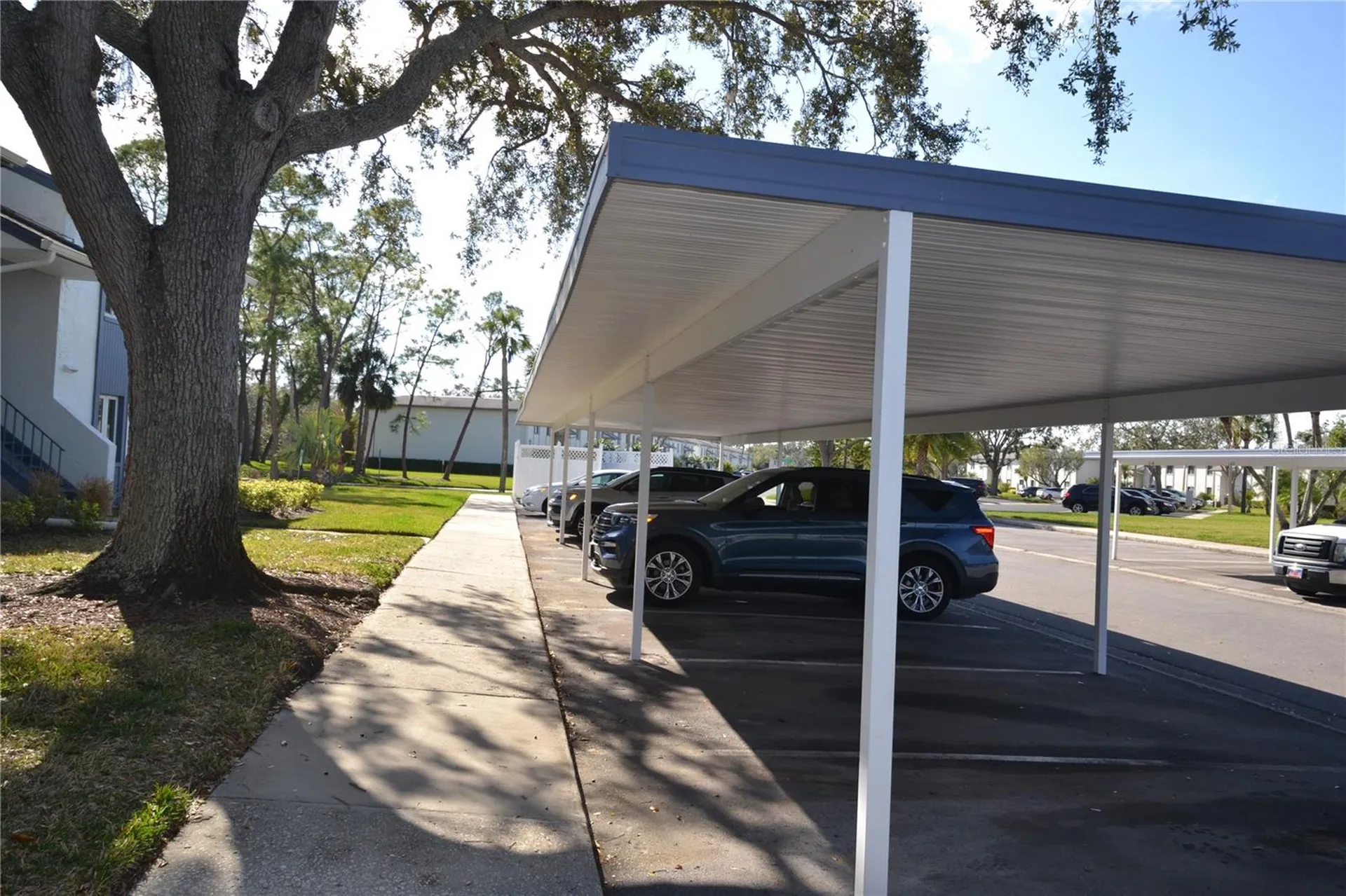 256 Cypress Lane Oldsmar FL 34677