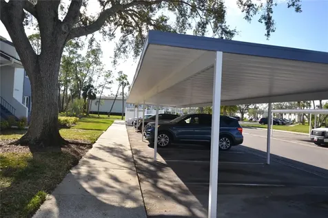 256 Cypress Lane Oldsmar FL 34677