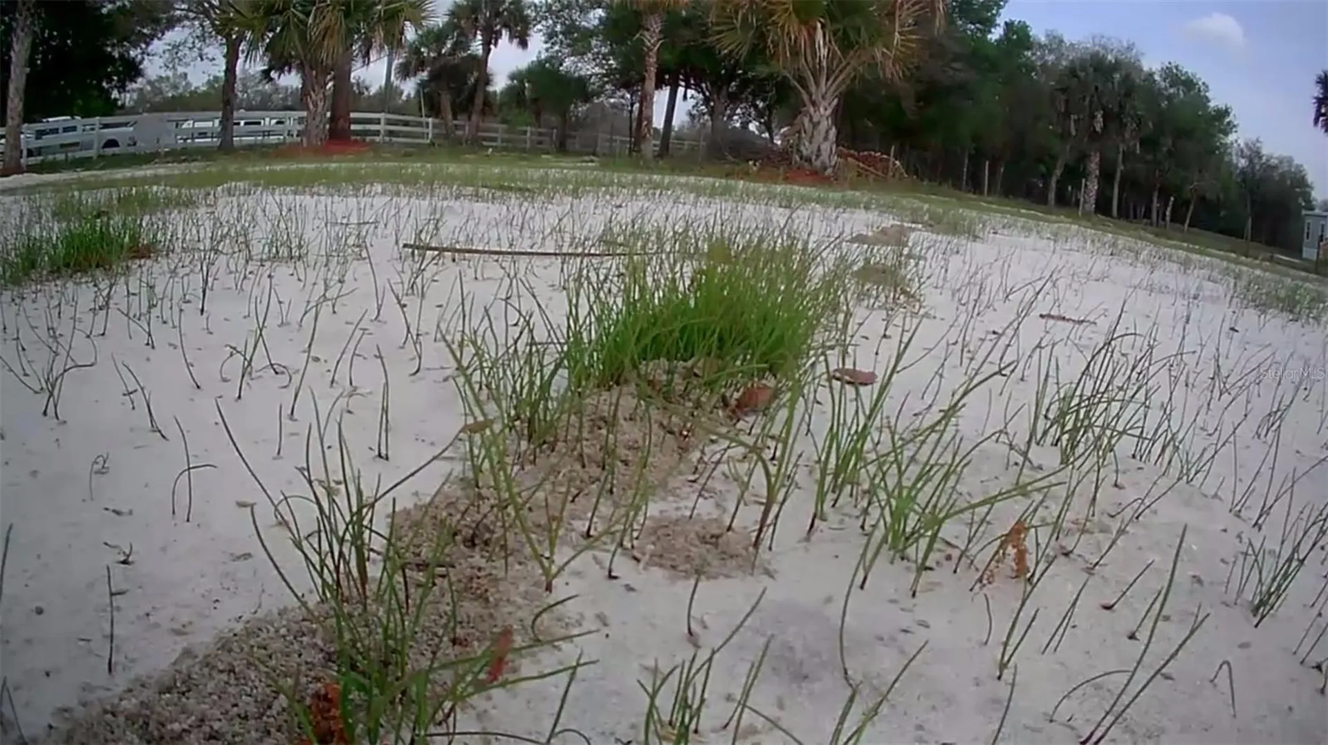 19374 NW 302nd Street Okeechobee FL 34972