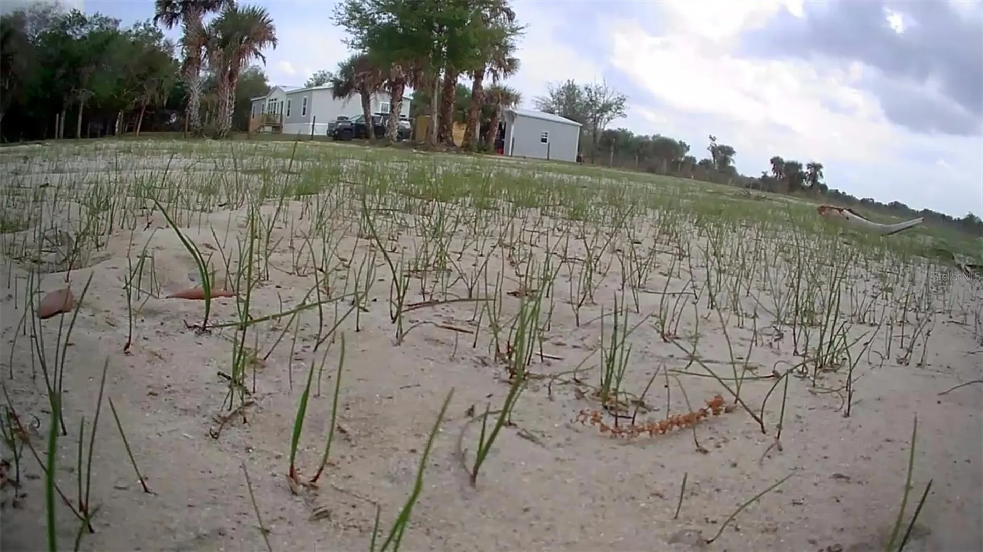 19374 NW 302nd Street Okeechobee FL 34972
