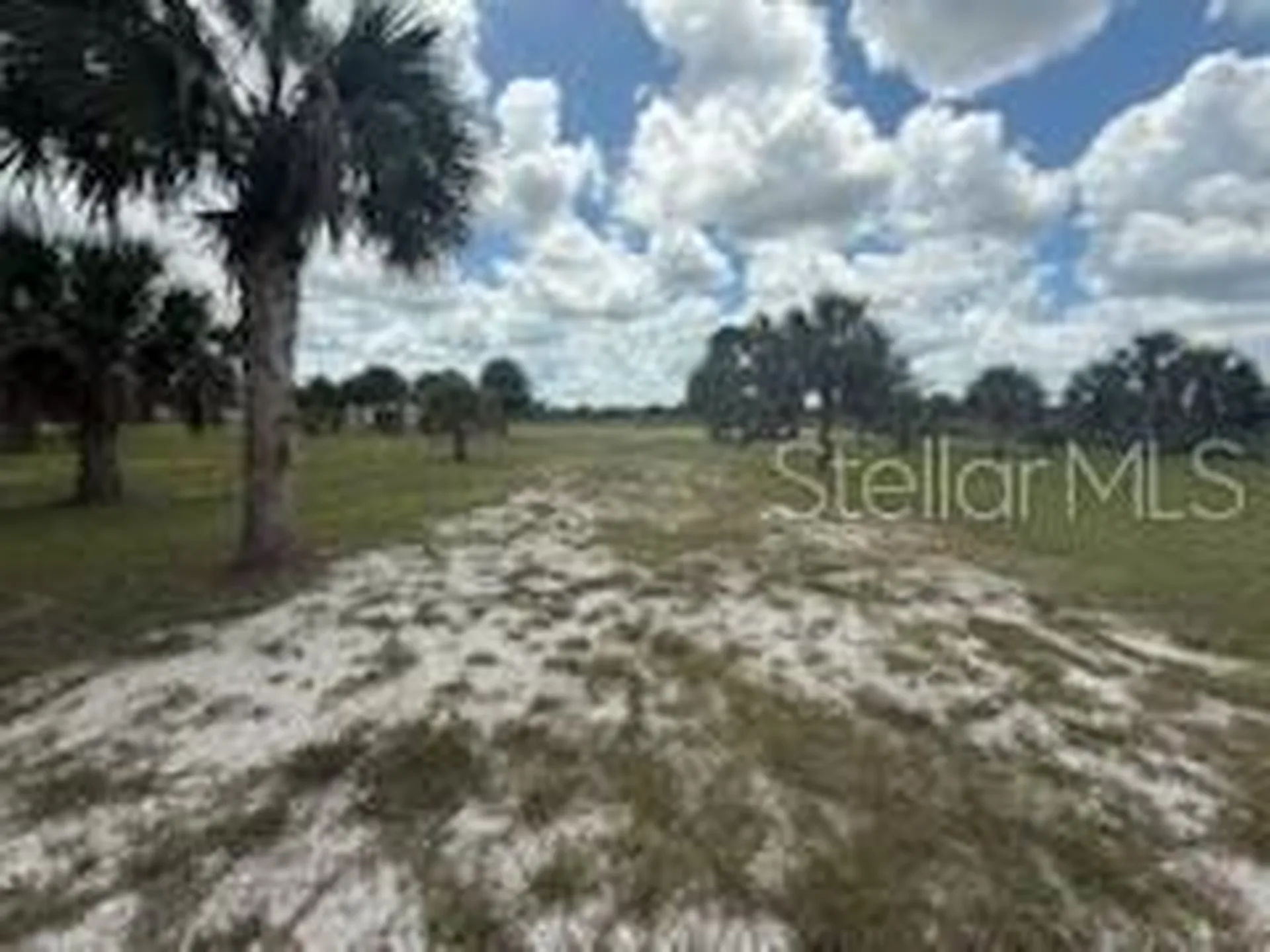19374 NW 302nd Street Okeechobee FL 34972