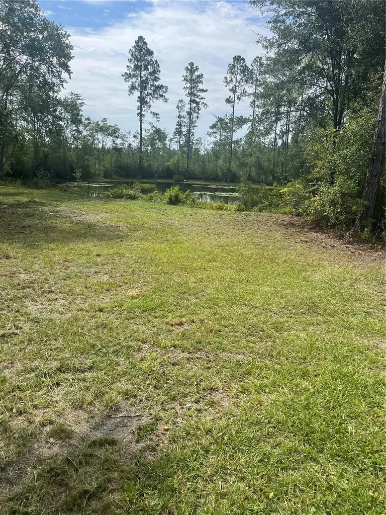 11226 Clarence Bennett Road Sanderson FL 32087