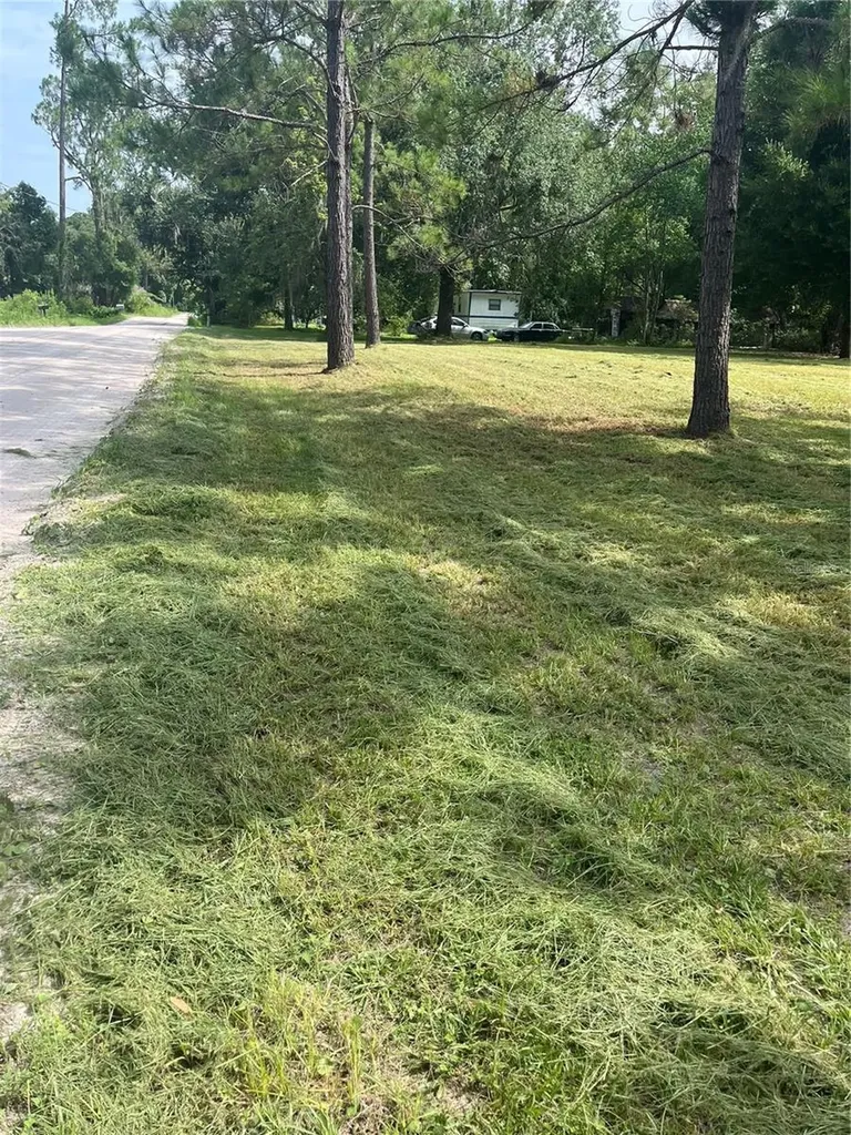 11226 Clarence Bennett Road Sanderson FL 32087